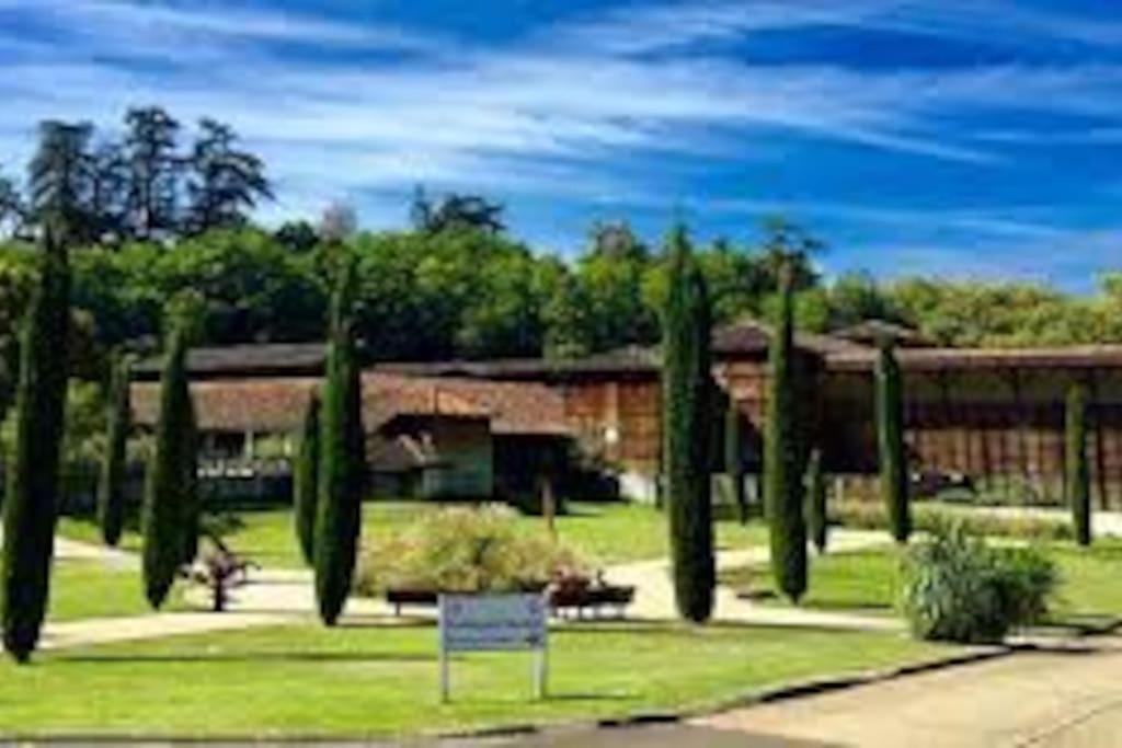 Studio 2 Lits Barbotan Les Thermes Cazaubon Екстер'єр фото